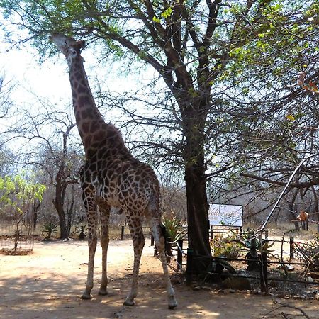 Weltevrede Lodge - Self Catering Houses Marloth Park Exteriör bild