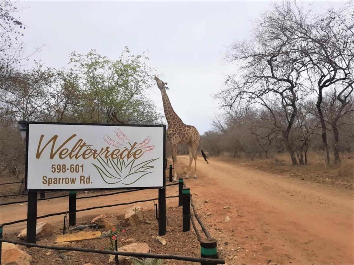 Weltevrede Lodge - Self Catering Houses Marloth Park Exteriör bild