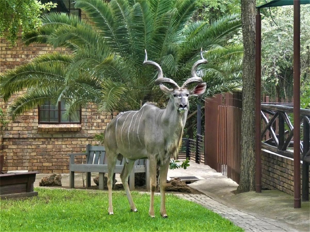 Weltevrede Lodge - Self Catering Houses Marloth Park Exteriör bild