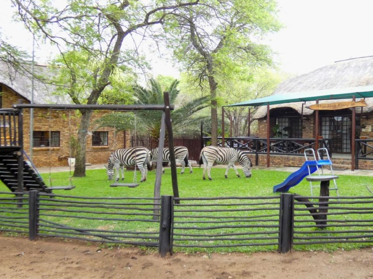 Weltevrede Lodge - Self Catering Houses Marloth Park Exteriör bild